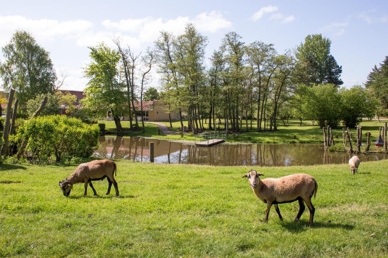 Fjelsted Skov Hotel & Konference Ejby  외부 사진